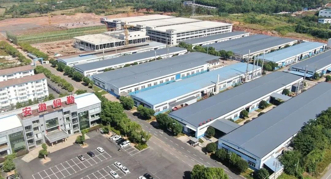 pg电子游戏试玩(中国)官方网站