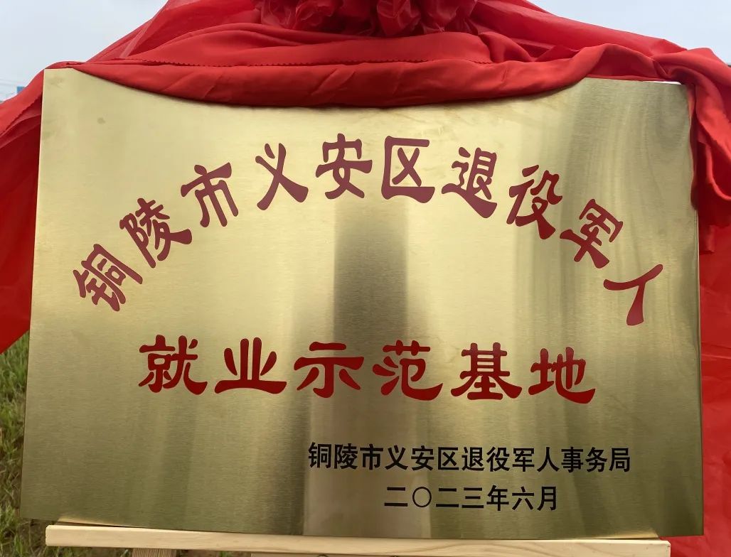 pg电子游戏试玩(中国)官方网站